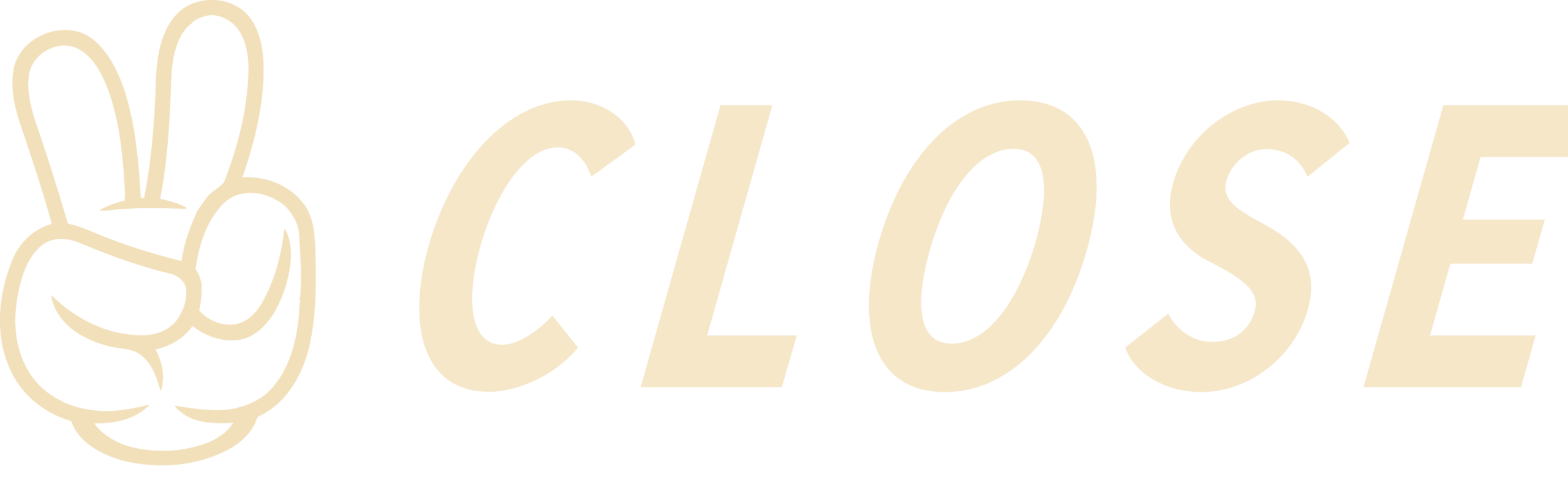 hamburger-custom-close